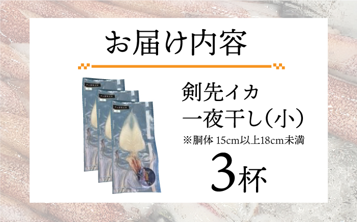 剣先イカ 一夜干 （小） 3杯 《壱岐市》【株式会社マルショウ】 いか イカ 剣先いか セット おつまみ 一夜干し [JEW005] 13000 13000円