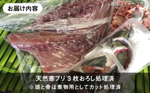 壱岐島産天然寒ブリ（9ｷﾛ台・3枚おろし） [JBS030]