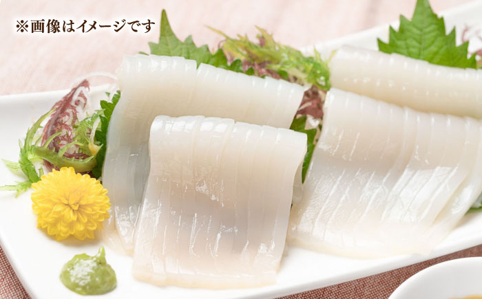 【全6回定期便】旬のイカ刺身1kg前後《壱岐市》【馬渡水産】イカ いか 烏賊 剣先 アオリ あおり スルメ するめ 刺身 刺し身 お刺身 海鮮 魚貝 冷凍配送 産地直送 [JAQ032] 100000 100000円 10万円