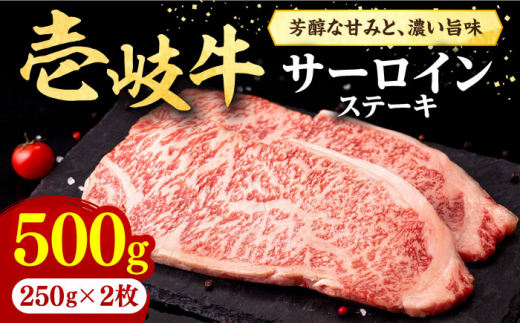 壱岐牛 サーロインステーキ 250g×2枚《壱岐市》【株式会社イチヤマ】 [JFE004] 500g 赤身 肉 牛肉 サーロイン ステーキ 焼肉 焼き肉 冷凍配送 BBQ 29000 29000円 のし プレゼント ギフト