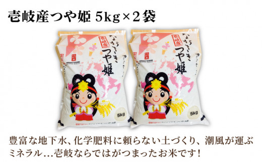 《A4〜A5ランク》壱岐牛カルビ250g・壱岐産米つや姫10kg《壱岐市》【壱岐市農業協同組合】[JBO041] お肉 牛肉 焼肉 焼き肉 カルビ 新鮮 やさい ベジタブル 食材 お米 米 ご飯 ごはん セット 31000 31000円 3万