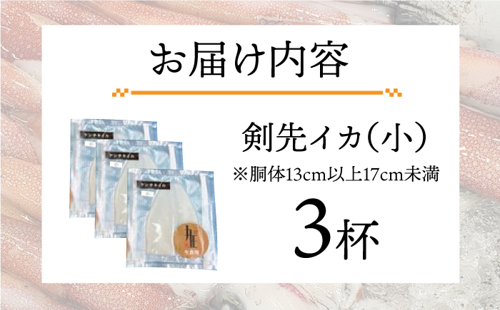 剣先イカ 刺身（小）3杯《壱岐市》【株式会社マルショウ】[JEW002] いか イカ 剣先いか セット おつまみ 新鮮 海鮮丼 刺し身 12000 12000円