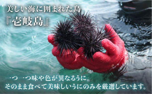 【全6回定期便】壱岐島産 老舗の厳選 おさだの生うに 3本セット [JAO022] 300000 300000円 30万円