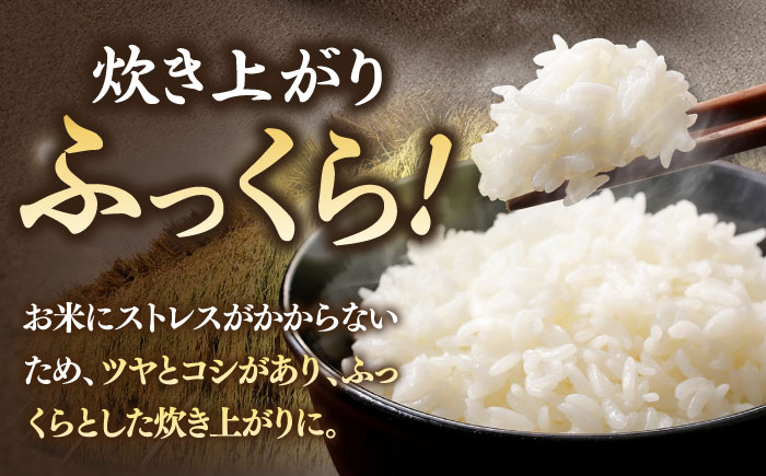 【全3回定期便 】【R6年度産】天日自然乾燥米 にこまる 5kg《壱岐市》【長米壱岐営業所】[JCZ010] 米 お米 白米 精米 ご飯 ごはん 5キロ 15kg 15キロ かけ干し 自然乾燥 特A   30000 30000円 3万円