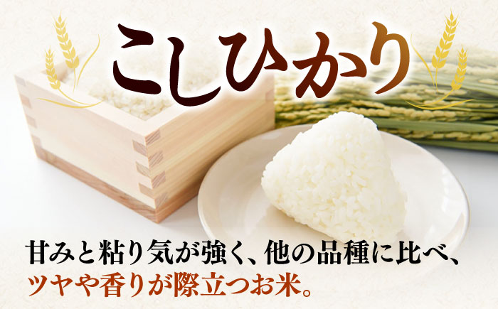 壱岐産米 こしひかり 5kg《壱岐市》【壱岐フードファクトリー】 [JDW061]
