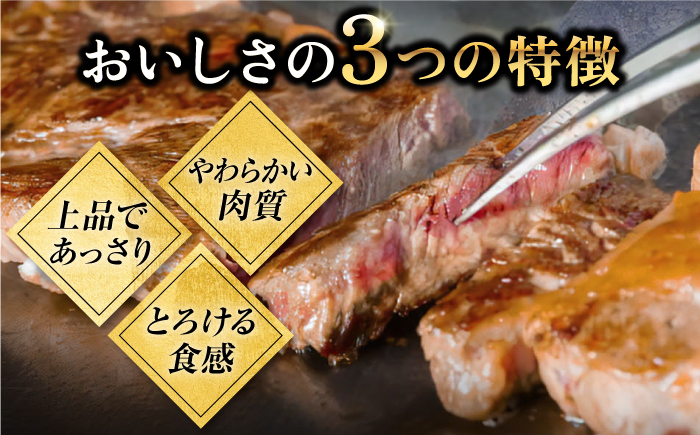 【全4回定期便】 壱岐牛 いろいろお試し定期便（全4種/計約2kg）《壱岐市》【株式会社ヤマグチ】 焼肉 ハンバーグ サーロイン ステーキ すき焼 モモ 冷凍配送 [JCG146]