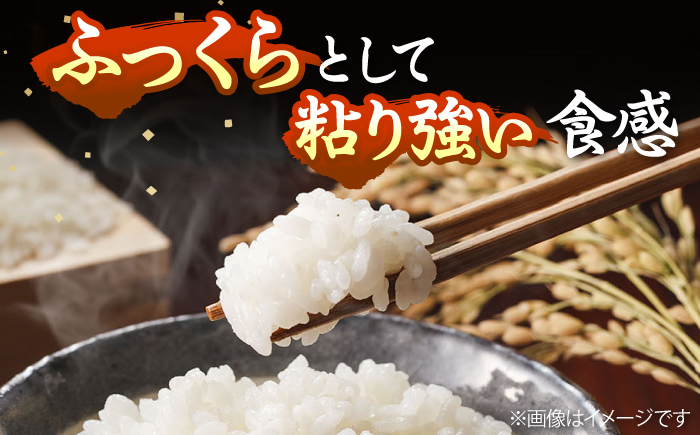 【全3回定期便】 壱岐産米 にこまる  1等米 5kg 《壱岐市》【長米壱岐営業所】 [JCZ027]