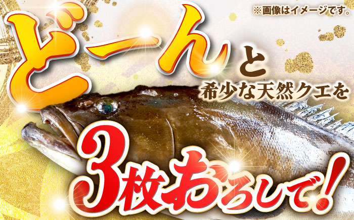 天然クエ（16キロ台・3枚おろし） 《壱岐市》【壱岐島　玄海屋】[JBS090] 1350000 1350000円 135万円