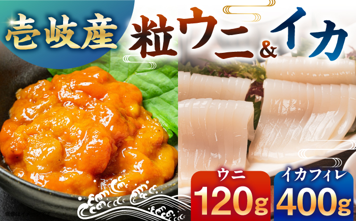 　【冷凍】壱岐産剣先イカフィレ(80g)×5枚　壱岐産粒うに瓶60g×1本　《壱岐市》　【一支國屋】 [JCC013]