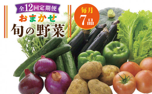 【全12回定期便】旬の野菜セット 7品《壱岐市》【壱岐市農業協同組合】 [JBO046] 野菜 ベジタブル 食材 詰め合わせ 産地直送 野菜セット グルメ 春 夏 秋 冬 旬 サラダ 冷蔵 夏野菜 スムージー 定期便   100000 100000円 10万円