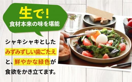 壱岐産 アスパラガス 1kg（L〜2Lサイズ）《壱岐市》【壱岐市農業協同組合】[JBO004] 野菜 旬 春野菜 夏野菜 新鮮 産地直送 アスパラ 冷蔵配送 先行予約 季節の野菜 グリーンアスパラガス 13000 13000円