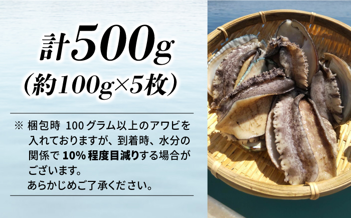 国産養殖アワビ 活き！壱岐！アワビ 計500g（約100g×5枚）《壱岐市》【住吉水産】アワビ 鮑 養殖 貝 海産物 魚介 魚貝 産地直送 お刺身 冷蔵発送 [JDQ007]