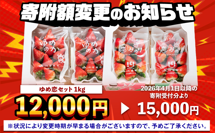 ゆめ恋セット（ゆめのか・恋みのり）計1kg《壱岐市》【蒼花】[JEO001-CP02] いちご イチゴ 苺 フルーツ 果物 スムージー ジャム ゆめのか 恋みのり セット 食べ比べ 小分け パック 冷蔵 あまおう 12000 12000円