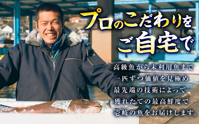 ＼壱岐島勝本漁港直送！／島の刺身セット 松コース（150g×6パック） 《壱岐市》【あかりや】 お刺身 刺し盛り 刺盛り 鮮魚 海鮮 海鮮丼 お造り 小分け タイ マグロ カツオ イカ ブリ クエ 詰め合わせ セット [JFO009]