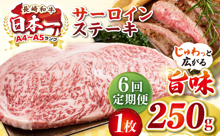 【全6回定期便】【A4〜A5ランク】長崎和牛 サーロインステーキ 250g（250g×1枚）《壱岐市》【株式会社MEAT PLUS】 肉 牛肉 黒毛和牛 サーロイン ステーキ ご褒美 ギフト 贈答用 ご褒美 冷凍配送 A4 A5 [JGH125]