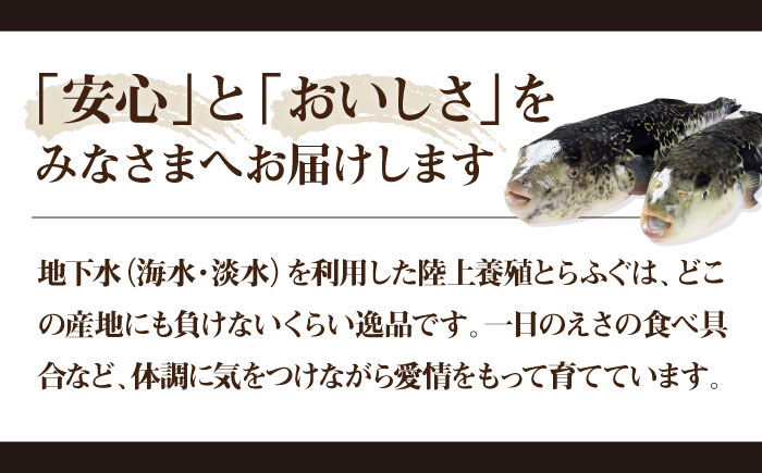 とらふぐ 鍋セット（2～3人前）《壱岐市》【なかはら】[JDT086] ふぐ フグ 河豚 とらふぐ トラフグ 鍋 ふぐ鍋 フグ鍋 とらふぐ鍋 トラフグ鍋 てっちり 海鮮鍋 魚介鍋 [JDT086]