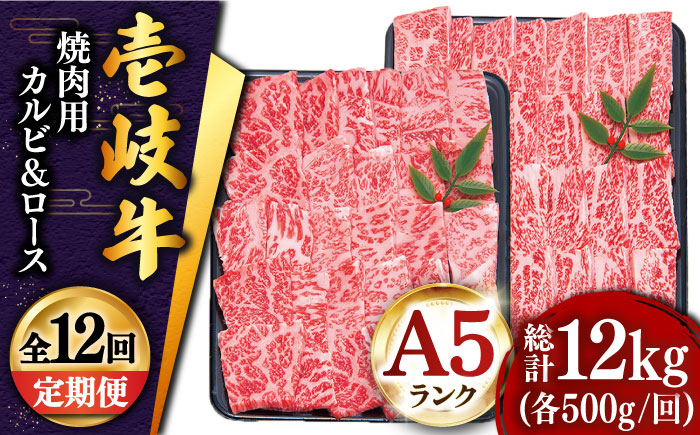 【全12回定期便 】壱岐牛 焼肉 （ロース・カルビ）各500g 《壱岐市》【土肥増商店】 肉 牛肉 焼き肉 ロース カルビ BBQ 焼き肉 赤身 [JDD017]   600000 600000円 60万円