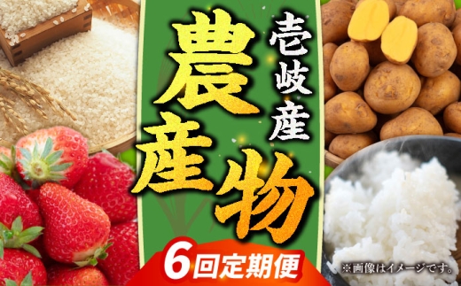 【全6回定期便】【先行予約】壱岐産農産物定期便【2026年10月以降順次発送】《壱岐市》【壱岐市農業協同組合】米 コシヒカリ じゃがいも いちご 野菜セット [JBO159] 90000 90000円 9万円