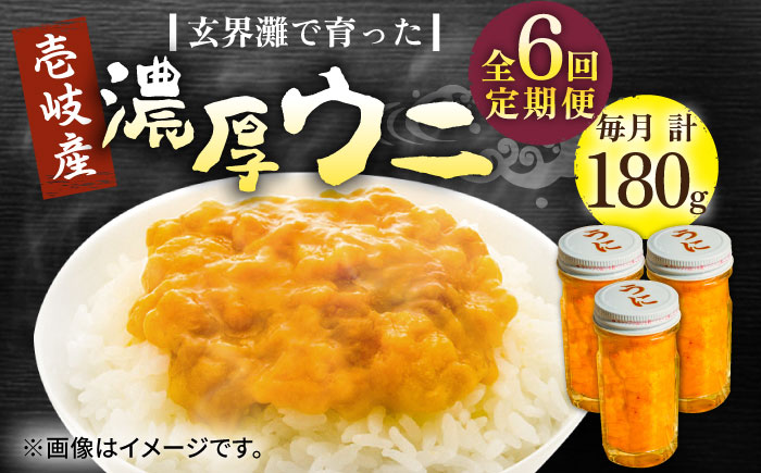 【全6回定期便】壱岐産 濃厚 ウニ 60g ×3本《壱岐市》【合同会社塚元】ムラサキウニ 海産物 海鮮 うに 雲丹 珍味 [JDR039] 200000 200000円 20万円