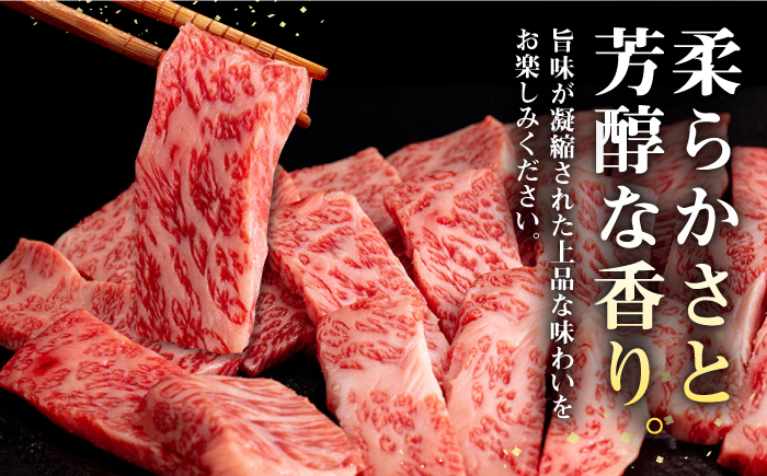 【全2回定期便】 壱岐牛 焼肉用 バラ（カルビ）500g《壱岐市》【株式会社イチヤマ】 肉 牛肉 焼肉 バラ カルビ BBQ [JFE113]