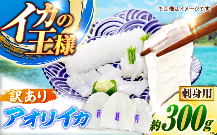 【訳あり】アオリイカ 刺身用 300g　水烏賊 《壱岐市》 【一支國屋】海鮮 烏賊 イカ いか 刺身 刺し身 お刺身 アオリイカ 冷凍配送 [JCC027]