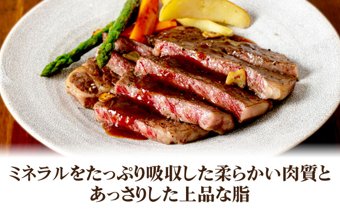 《A4〜A5ランク》壱岐牛サーロインステーキ 200g×2枚 《壱岐市》【壱岐市農業協同組合】冷凍配送 黒毛和牛 A5ランク 肉 牛肉 サーロイン ステーキ 焼肉 焼き肉 BBQ 赤身 [JBO151]