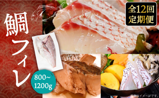 【全12回定期便】鯛フィレ 約800〜1200g（1尾・2kg台）《壱岐市》【なかはら】 [JDT035] タイ 鯛 フィレ 柵 刺身 刺身ブロック 刺し身 切身 冷凍 海鮮 海鮮丼 定期便 324000 324000円 冷凍配送