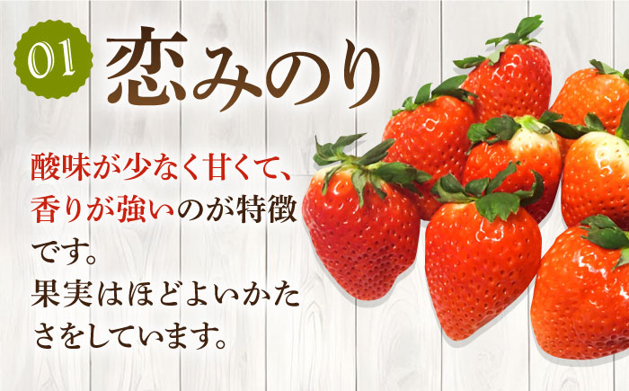 【全3回定期便】《2025年2月3月4月お届け》 いちご イチゴ 1kg （250g×4パック）恋みのり・さがほのかミックス 壱岐島産 【Strawberry Gang】 [JEM002] 苺 いちご イチゴ 果物 フルーツ 定期便 食べ比べ ケーキ ジュース スムージー 39000 39000円 