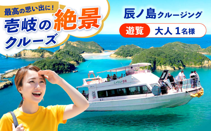 辰ノ島クルージング(辰ノ島遊覧)大人1名様分《壱岐市》【勝本町漁業協同組合】 [JFN002] 8000 8000円 8千円