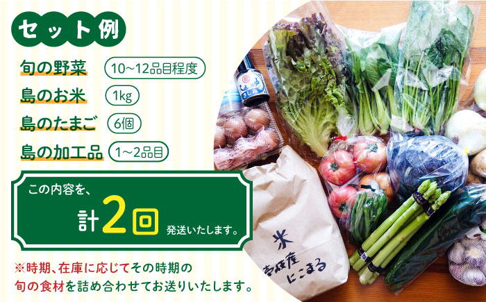 【全2回定期便】壱岐産食材詰め合わせBOX「野菜」《壱岐市》【壱岐イルカパーク＆リゾート】米 卵 塩 醤油 あおさ [JBF034]