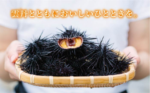 【全3回定期便】島のぜいたく珍味粒うに2本セット [JBR016]   60000 60000円 6万円