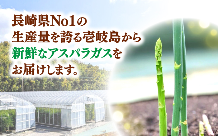 【アスパラガス専門農家が作る！】壱岐産 訳アリ アスパラガス1.5kg≪壱岐市≫【きたじま農園】国産 冷蔵配送 産地直送 朝採れ 新鮮 [JGI005]