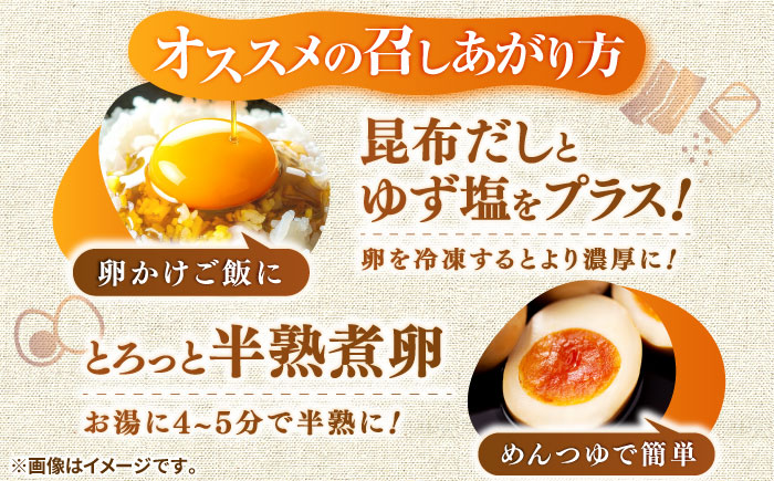 【全6回定期便】特選 素直な恋たまご 60個 《壱岐市》【しまのたまご屋さん】 [JAP004] 卵 たまご 鶏卵 玉子 ギフト 国産 もみじ 卵かけご飯 たまごかけご飯 のし プレゼント ギフト 定期便 78000 78000円