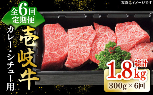 【全6回定期便】 特選 壱岐牛 すね肉 300g（カレー・シチュー用）《壱岐市》【太陽商事】[JDL080] 肉 牛肉 黒毛和牛 ブランド牛 カレー シチュー 赤身 チマキ 煮込み ブロック 国産 九州 お祝い 54000 54000円