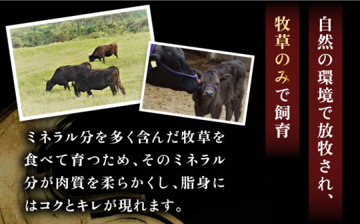 《A4〜A5ランク》壱岐牛 ロース200g・カルビ200g・上モモ400g（焼肉） 《壱岐市》【壱岐市農業協同組合】[JBO014] 肉 牛肉 ロース カルビ バラ モモ 上モモ 焼肉 焼き肉 赤身 セット 食べ比べ   6万 のし プレゼント ギフト 60000 60000円 6万円