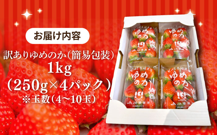 【訳あり/簡易包装】ゆめのか 約250g×4パック《壱岐市》【Strawberry Gang】 [JEM003-CP02] イチゴ 苺 果物 フルーツ スムージー 10000 10000円 冷蔵配送 訳あり