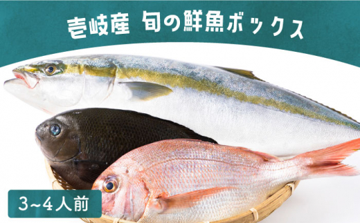 壱岐産 旬の鮮魚ボックス （3・4人前） 《壱岐市》【こころ壱岐水産】 [JCF011] 鮮魚 海鮮 旬 イカ 鯛 アジ イサキ かさご むつ さざえ おまかせ 13000 13000円