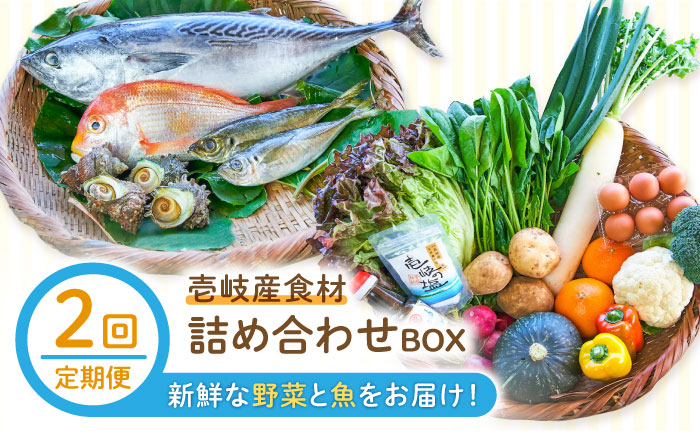 【全2回定期便】壱岐産食材詰め合わせBOX「野菜と魚」《壱岐市》【壱岐イルカパーク＆リゾート】塩 醤油 卵 魚介類 海鮮 [JBF037]