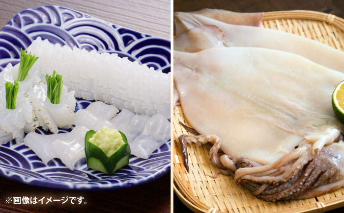 壱岐の海の幸 干物セット《壱岐市》【壱岐市農業協同組合】あじ アジ 鯵 かます カマス いか イカ 烏賊 干物 ひもの 干物セット 冷凍配送 [JBO153]