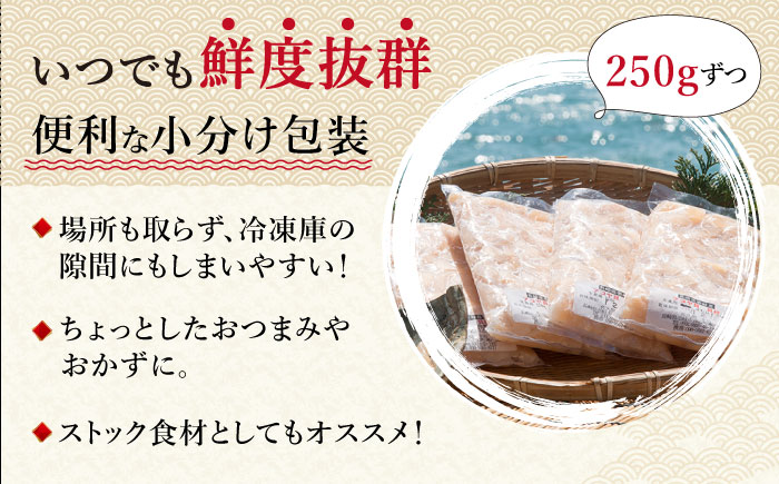 真珠 アコヤ貝 貝柱 500g（250g×2パック）《壱岐市》【丸和水産】 [JCJ022] アコヤ貝 あこや貝 貝 ホタテ 海鮮 魚介 魚貝 海産物 刺身 刺し身 お刺身 16000 16000円