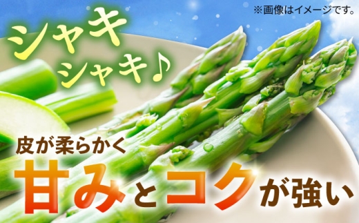 壱岐産 アスパラガス 1kg（L〜2Lサイズ）《壱岐市》【壱岐市農業協同組合】[JBO004] 野菜 旬 春野菜 夏野菜 新鮮 産地直送 アスパラ 冷蔵配送 先行予約 季節の野菜 グリーンアスパラガス 13000 13000円