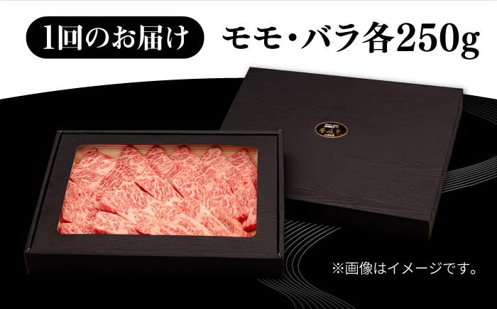 【全2回定期便】 壱岐牛 焼肉用 モモ・バラ（カルビ） 500g《壱岐市》【株式会社イチヤマ】 肉 牛肉 焼肉 モモ バラ カルビ BBQ [JFE125]