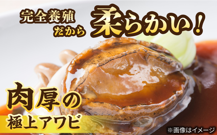 国産養殖アワビ 活き！壱岐！アワビ 計500g（約100g×5枚）《壱岐市》【住吉水産】アワビ 鮑 養殖 貝 海産物 魚介 魚貝 産地直送 お刺身 冷蔵発送 [JDQ007]