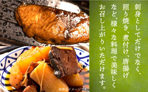 【全6回定期便】ヒラマサフィレ 約1〜1.5kg（半身）《壱岐市》【なかはら】[JDT040] ヒラマサ フィレ 柵 刺身 刺身ブロック 刺し身 切身 冷凍 海鮮 海鮮丼   冷凍配送 200000 200000円 20万円