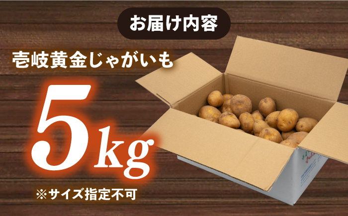 【2月中旬以降順次発送】壱岐黄金じゃがいも 5kg 《壱岐市》【壱岐市農業協同組合】 じゃがいも ジャガイモ ポテト 野菜 季節の野菜 夏野菜 冬野菜 [JBO139]