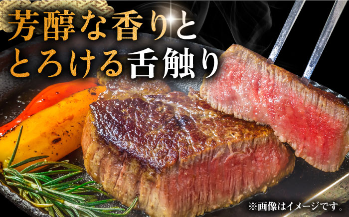 壱岐牛 シャトーブリアン 120g×3枚《壱岐市》【中津留】[JFS006] 肉 牛肉 和牛 ヒレ ステーキ ヒレステーキ 3枚 冷凍配送 48000 48000円