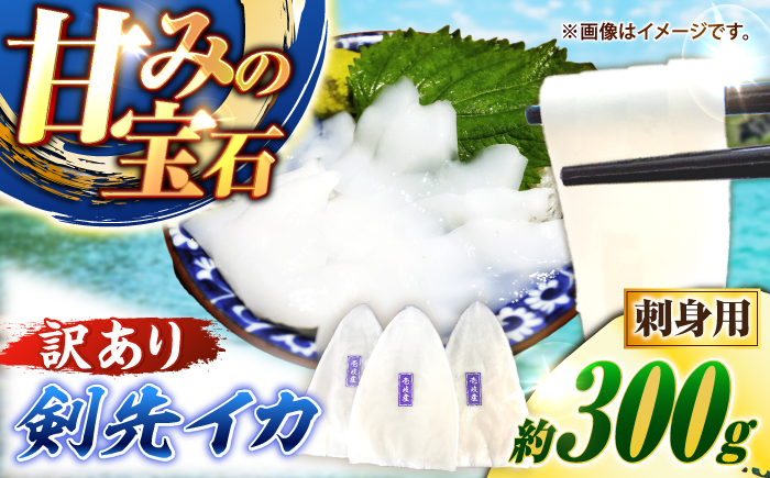【訳あり】剣先イカ 刺身用 300g　剣先烏賊 《壱岐市》 【一支國屋】海鮮 烏賊 イカ いか 刺身 刺し身 お刺身 剣先イカ 冷凍配送 [JCC028]