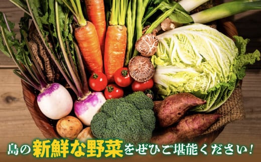 旬の野菜 7品セット 《壱岐市》【壱岐市農業協同組合】[JBO001] 野菜 ベジタブル 食材 詰め合わせ 産地直送 野菜セット グルメ 春 夏 秋 冬 旬 サラダ 冷蔵 夏野菜 スムージー   10000 10000円 1万円