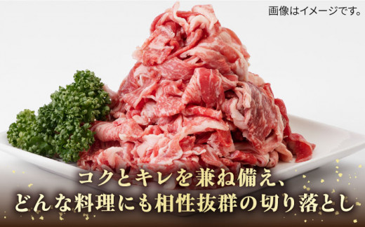 【全3回定期便】《A4〜A5ランク》壱岐牛切り落とし 500g [JBO062] 肉 牛肉 切落し すき焼き しゃぶしゃぶ 鍋 うす切り 細切れ 赤身 定期便 39000 39000円