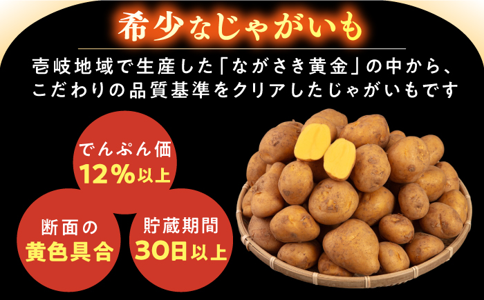 【2月中旬以降順次発送】壱岐黄金じゃがいも 5kg 《壱岐市》【壱岐市農業協同組合】 じゃがいも ジャガイモ ポテト 野菜 季節の野菜 夏野菜 冬野菜 [JBO139]